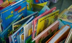 mehrere Kinderbücher in einer Kiste