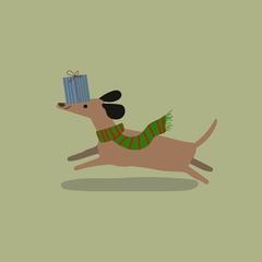 ein Dackel, der rennend auf seiner Schnauze ein Geschenk balanciert.