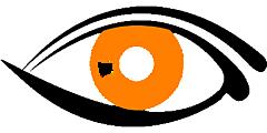 ein gezeichnetes Auge auf weißem Hintergrund.: Die Pupille ist orange und symbolisiert eine CD.