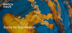 eine gelbe Qualle vor blauem Hintergrund