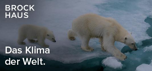 Ein Werbefoto von Brockhaus: zwei Eisbären gehen über eine Eisscholle. Daneben steht in Weiß: Brockhaus. Das Klima der Welt