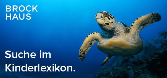 eine Schildkröte schwimmt in einem dunkelblauen Meer. Links neben ihr steht in weißen Buschstaben Brockhaus und Suche im Kinderlexikonu