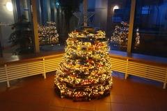 ein Weihnachtsbaum aus Büchern